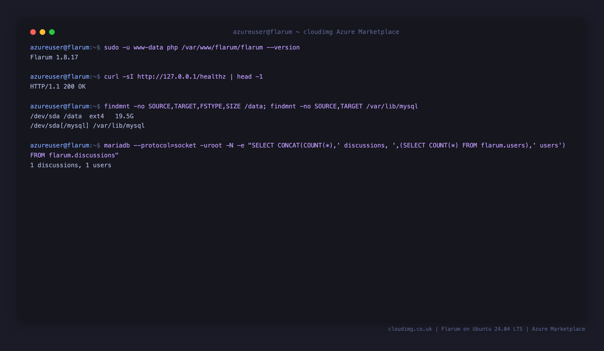 The Flarum version, the healthz endpoint returning 200, the ext4 data disk mounted at /data and bind mounted onto /var/lib/mysql, and the discussion and user counts