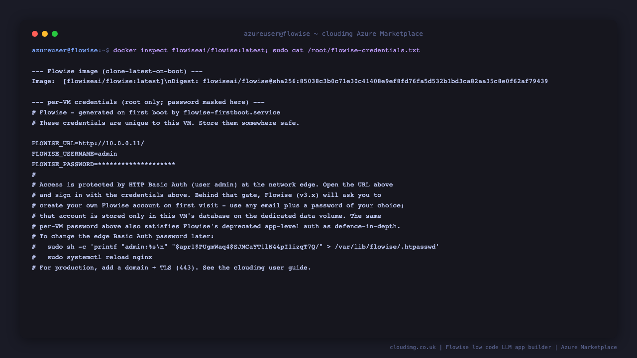 The Flowise image reference and the per-VM credentials file with the generated admin password and URL