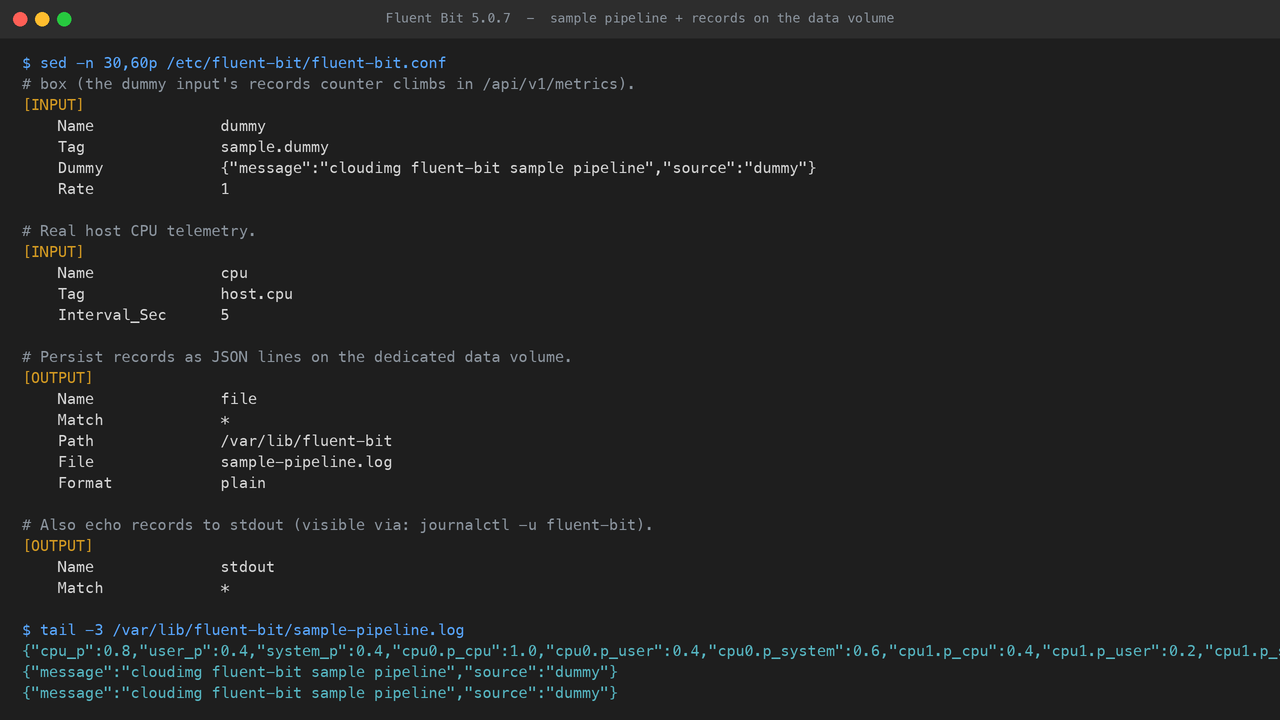 The sample pipeline INPUT and OUTPUT blocks in fluent-bit.conf and real JSON log records flowing to the file output on the dedicated data volume