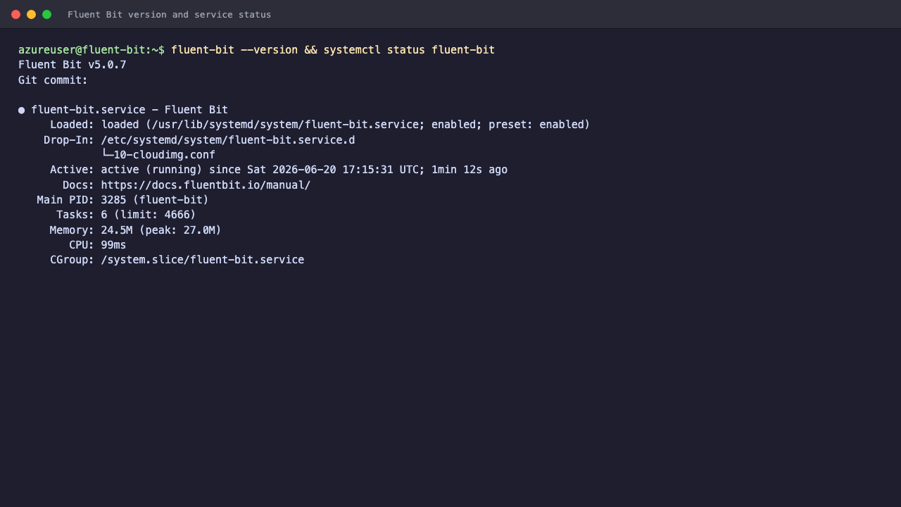Fluent Bit version and service status
