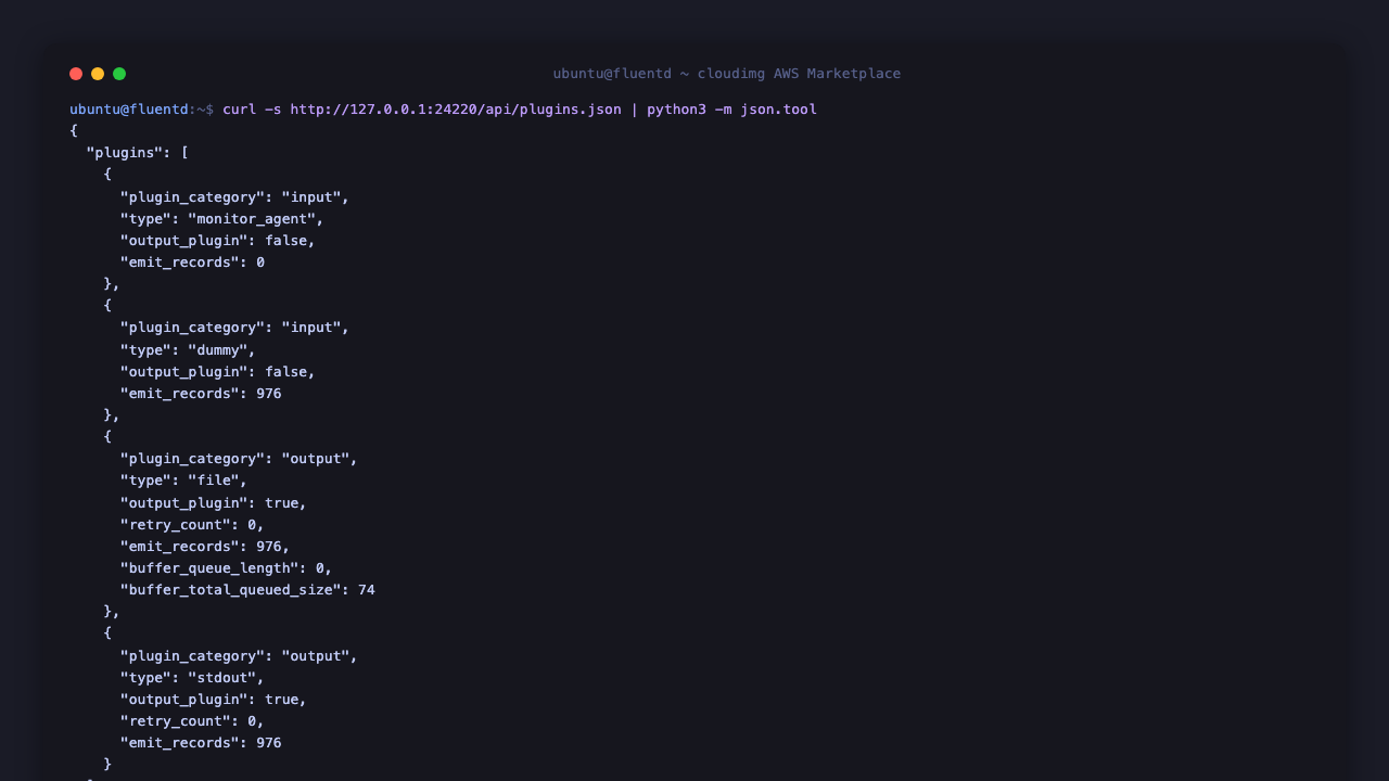 The built-in monitor_agent HTTP endpoint on loopback port 24220 returning per-plugin JSON, with the dummy input and the file output record counters climbing