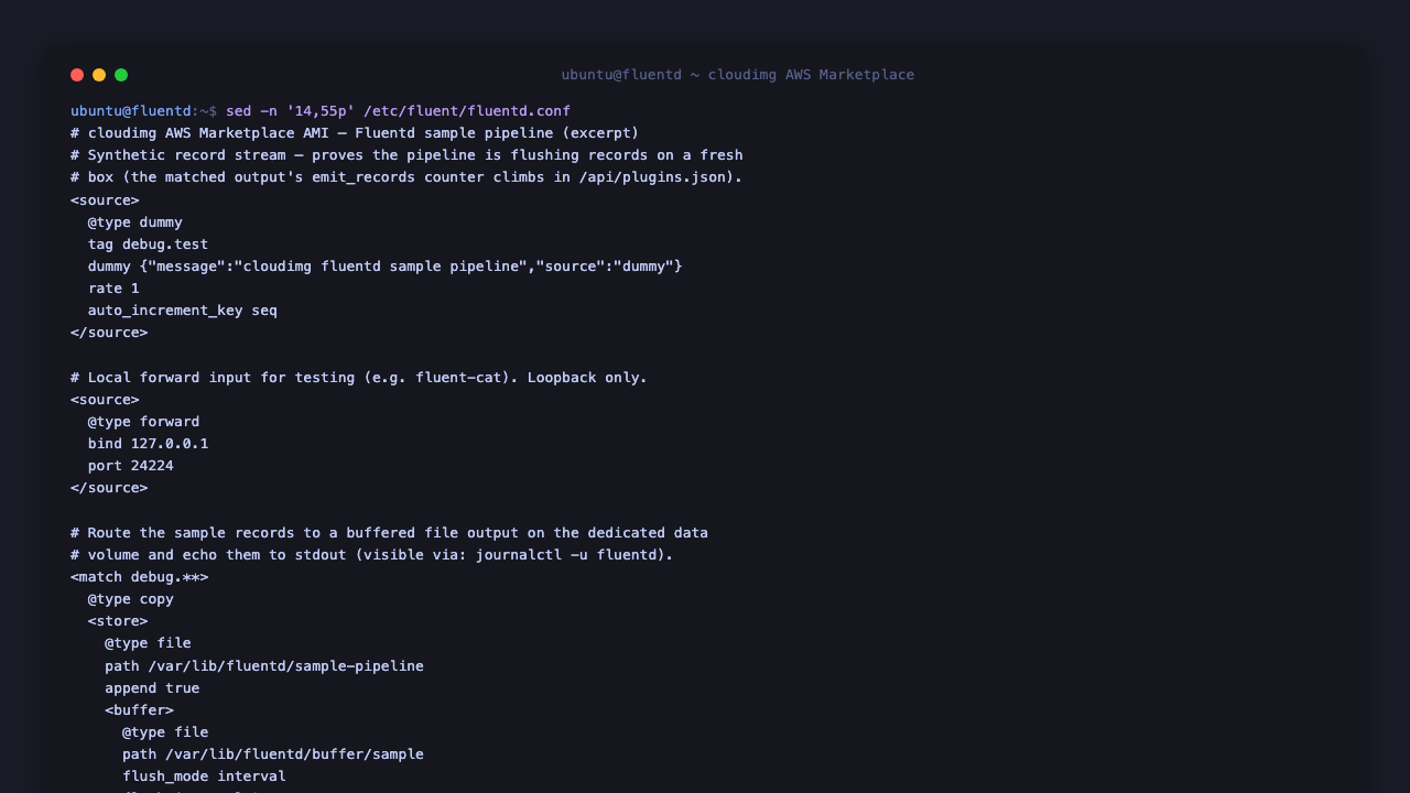 The sample pipeline source and match blocks in fluentd.conf and the file output writing JSON records to the dedicated data volume