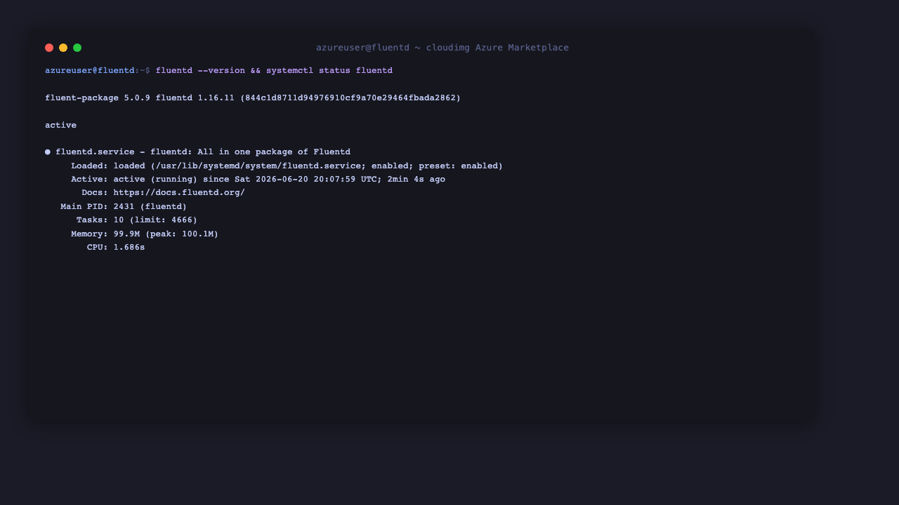 Fluentd version and service status