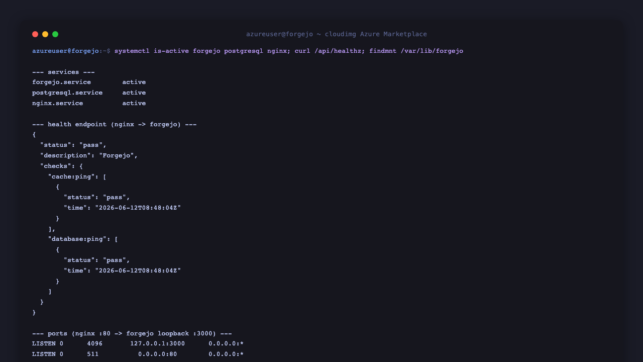 Forgejo service status, health endpoint and dedicated data disks