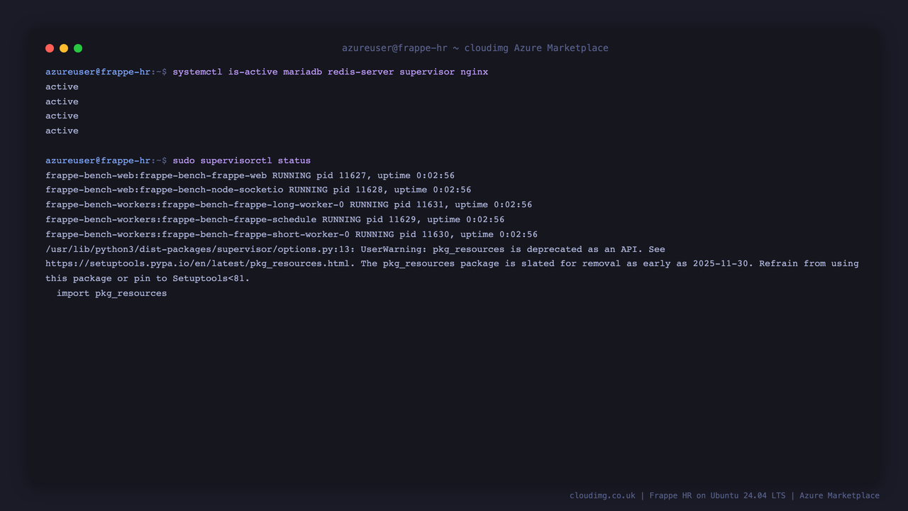 Frappe HR services active on the VM