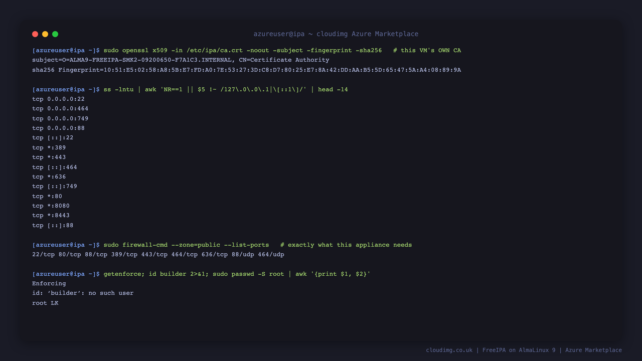 The security posture of the running appliance