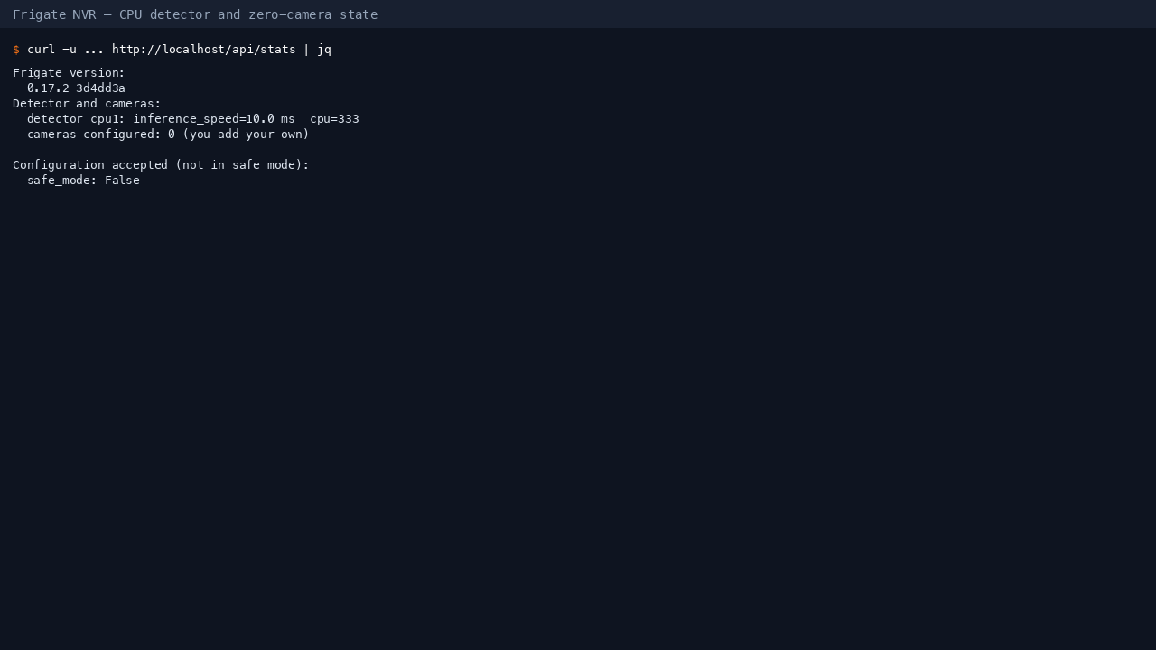 Frigate version, detector inference speed, camera count and the confirmation that the shipped configuration was accepted rather than falling back to safe mode