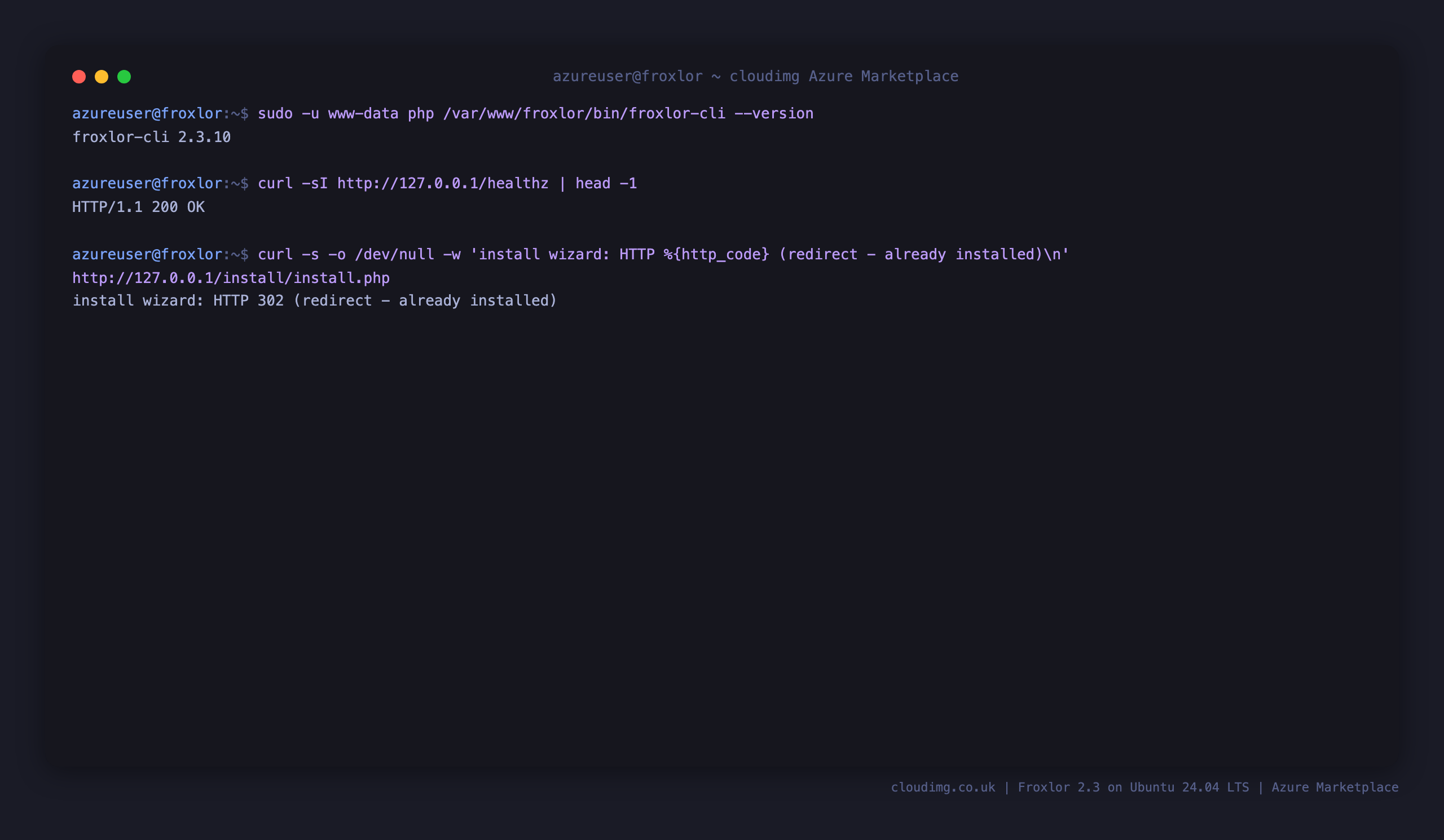 The installed Froxlor version, the healthz endpoint returning 200, and the install wizard returning a redirect because the panel is already installed