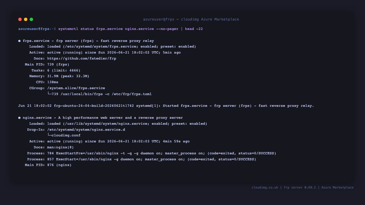 frps and nginx service status