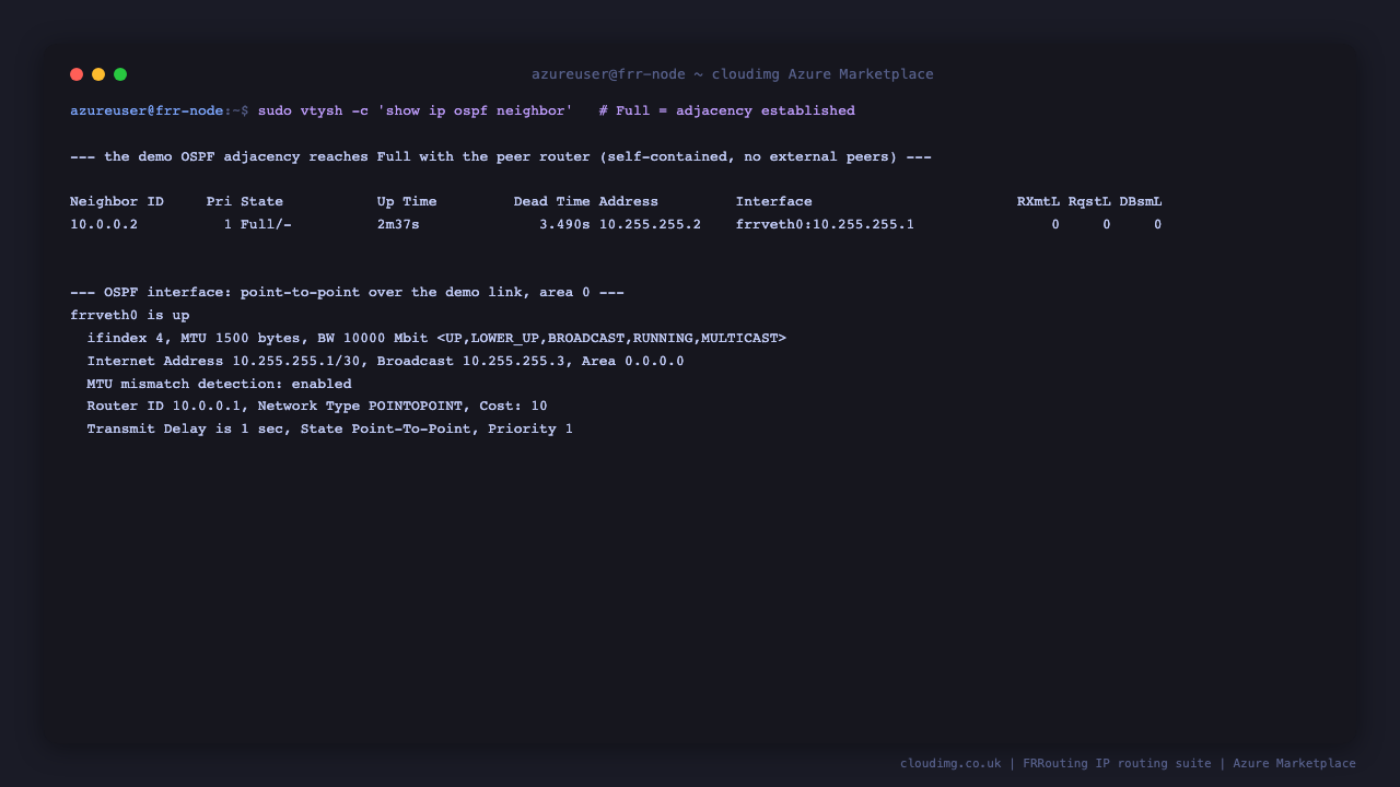 show ip ospf neighbor lists neighbor 10.0.0.2 in state Full over the demo link, and show ip ospf interface frrveth0 reports the interface up as a point to point network in area 0.0.0.0 with router id 10.0.0.1