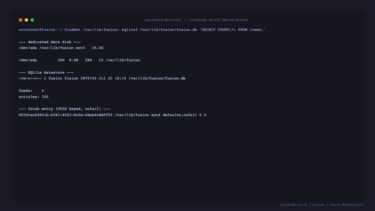 The dedicated data disk and the SQLite datastore