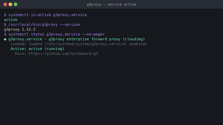 g3proxy service active and version