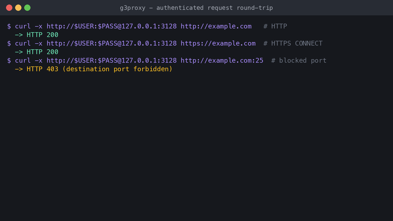 g3proxy authenticated request round-trip