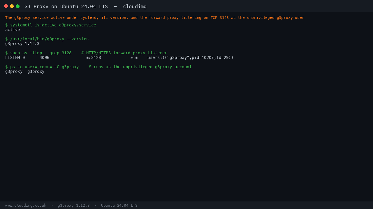 The g3proxy service active under systemd, its version, and the HTTP and HTTPS forward proxy listening on TCP port 3128 as the unprivileged g3proxy user