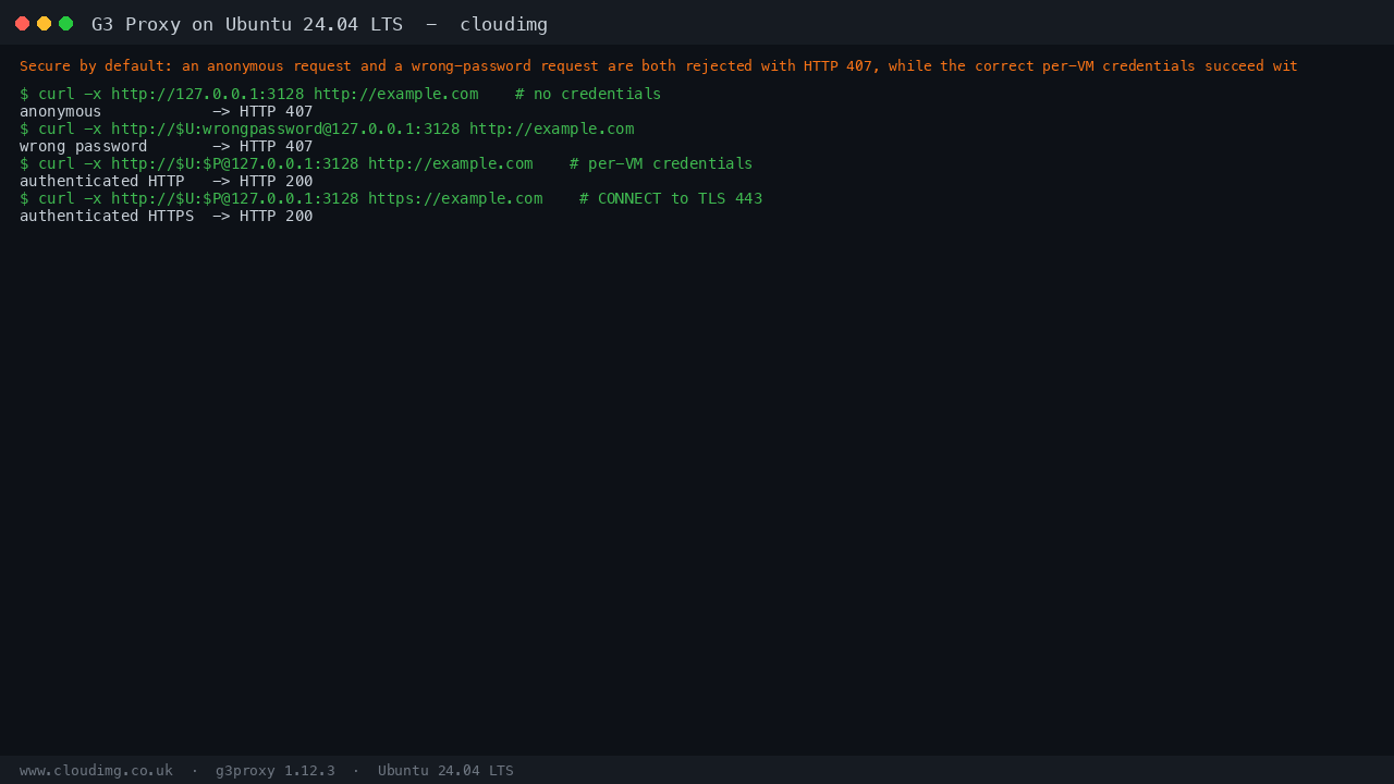 The secure by default authentication round trip: an anonymous request and a wrong password request are both rejected with HTTP 407, while a request with the correct per VM username and password succeeds with HTTP 200 over both HTTP and HTTPS
