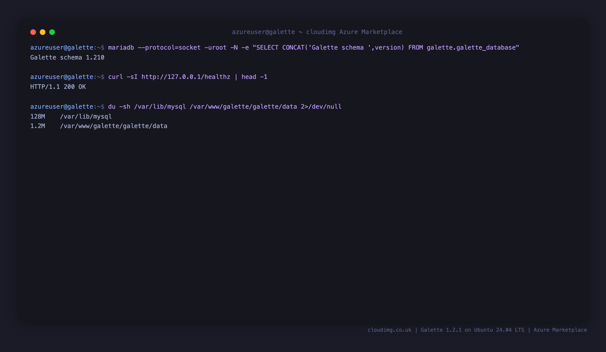 The installed Galette schema version, the healthz endpoint returning 200, and the disk usage of the MariaDB database and the Galette data directory