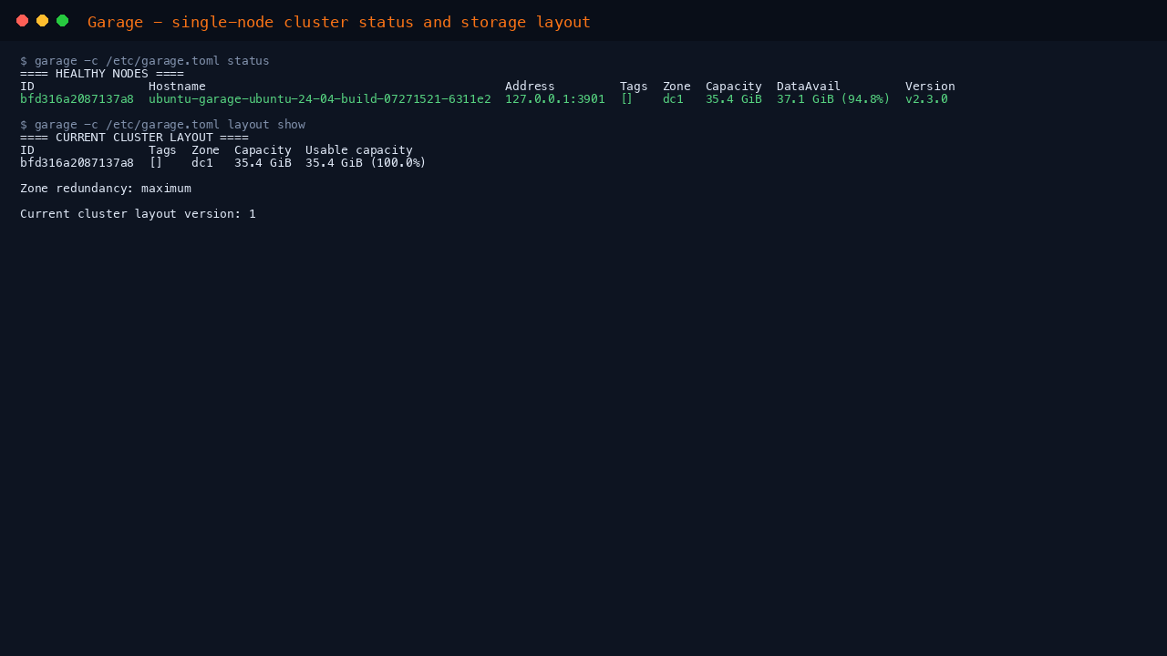 Garage single-node status showing one healthy node and the applied storage layout at version 1