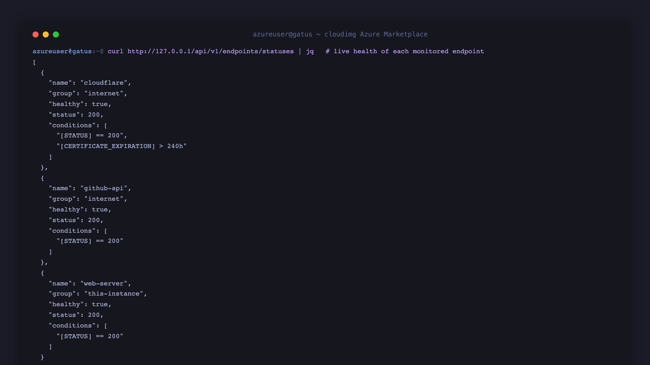 The JSON status API returning each monitored endpoint with its group, healthy state, HTTP status and the conditions used to evaluate it