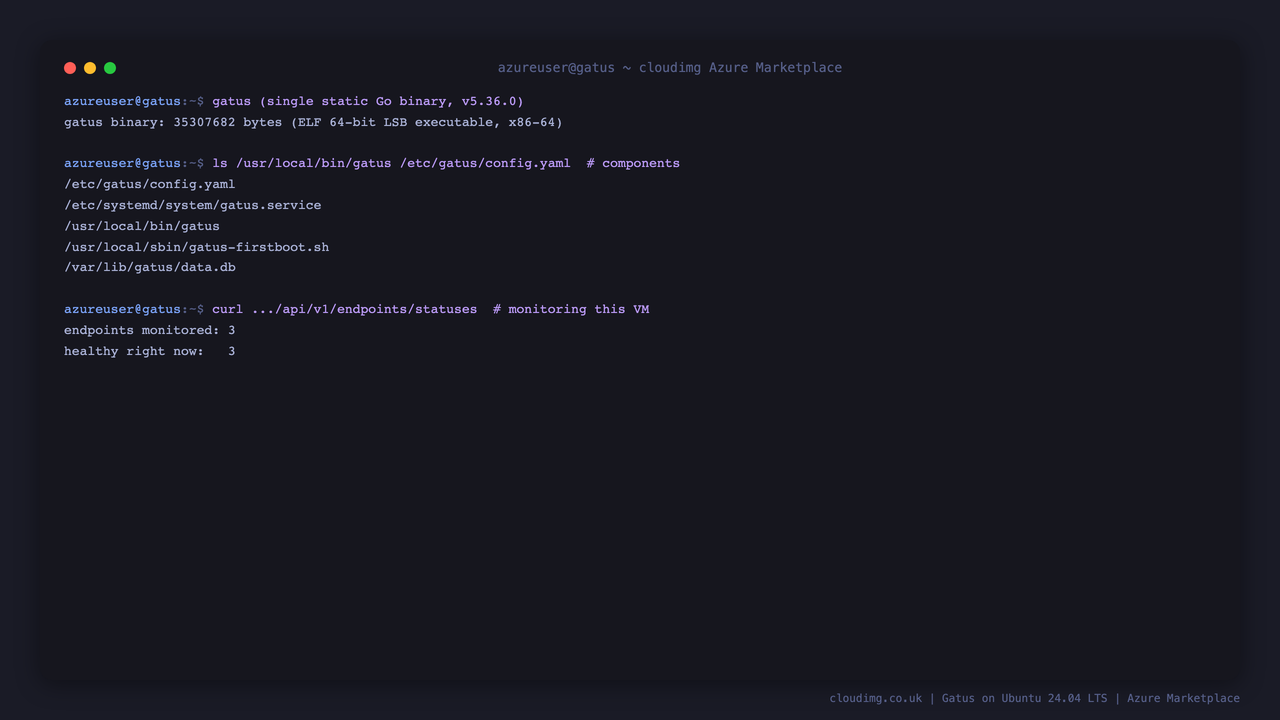 The Gatus single Go binary and its installed component paths, plus the count of monitored endpoints and how many are healthy right now