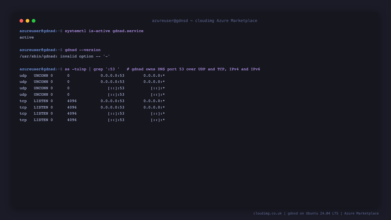 The gdnsd service reports active, gdnsd reports version 3.8.3, and ss shows the server listening on port 53 for DNS over both UDP and TCP on all interfaces for IPv4 and IPv6