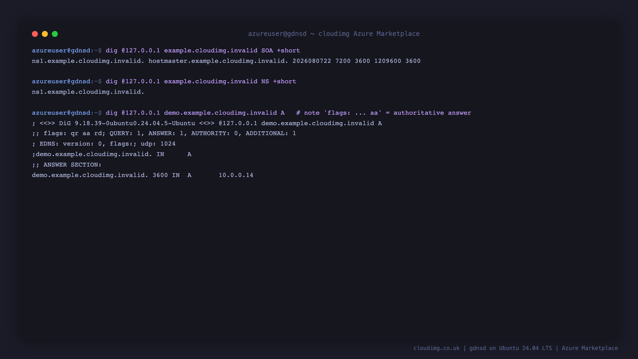 dig returns the SOA and NS for the authoritative demo zone example.cloudimg.invalid, and a query for demo.example.cloudimg.invalid returns an A record with the header flags including aa, the authoritative answer flag, resolving to the instance IP address