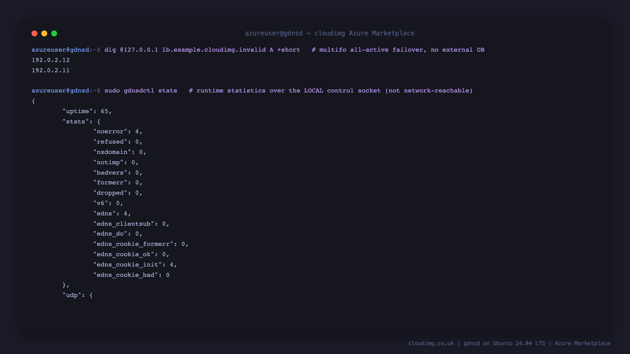 dig for lb.example.cloudimg.invalid returns the mapped multi address set from the multifo weighted failover resource, and gdnsdctl stats prints JSON runtime statistics read over the local control socket
