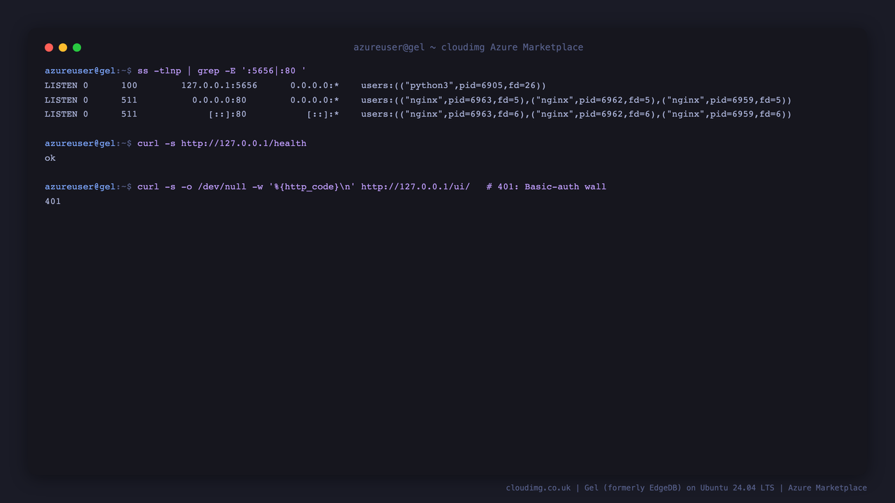 Gel loopback listeners and the nginx auth wall