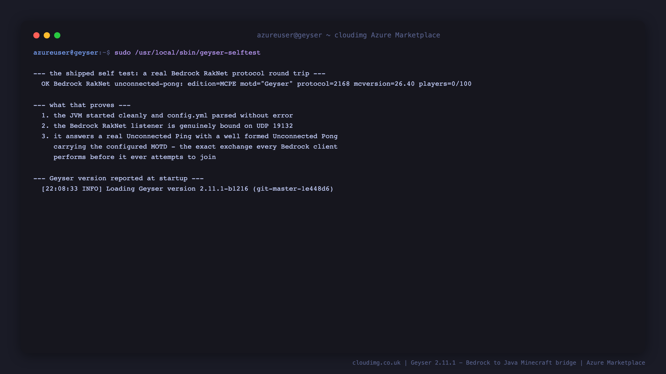 Terminal showing the geyser selftest reporting OK with a genuine Bedrock RakNet unconnected pong, the edition tag MCPE, the configured MOTD, the negotiated protocol number and the Minecraft version this Geyser build supports