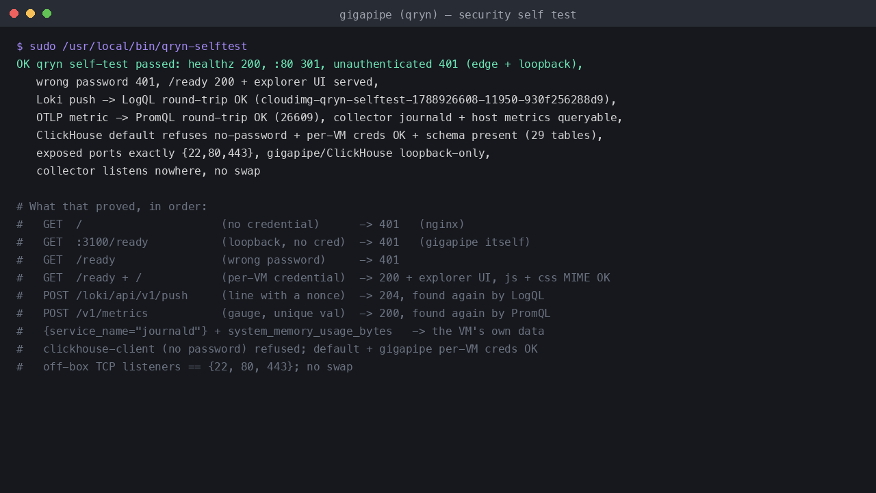 The bundled self test proving the TLS front door, refused unauthenticated and wrong password requests, the explorer, a Loki push to LogQL round trip, an OTLP metric to PromQL round trip, the collector's data and the ClickHouse password checks