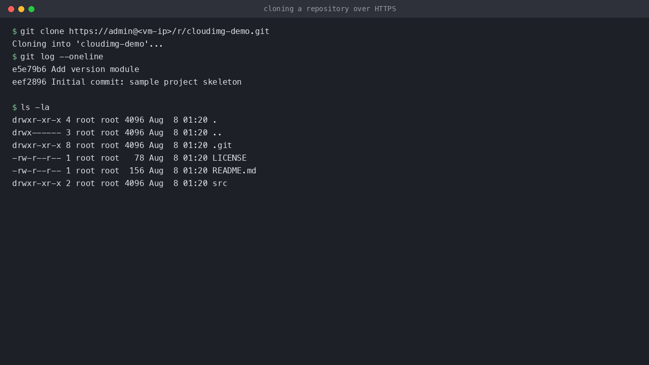Cloning a repository over HTTPS and viewing its history