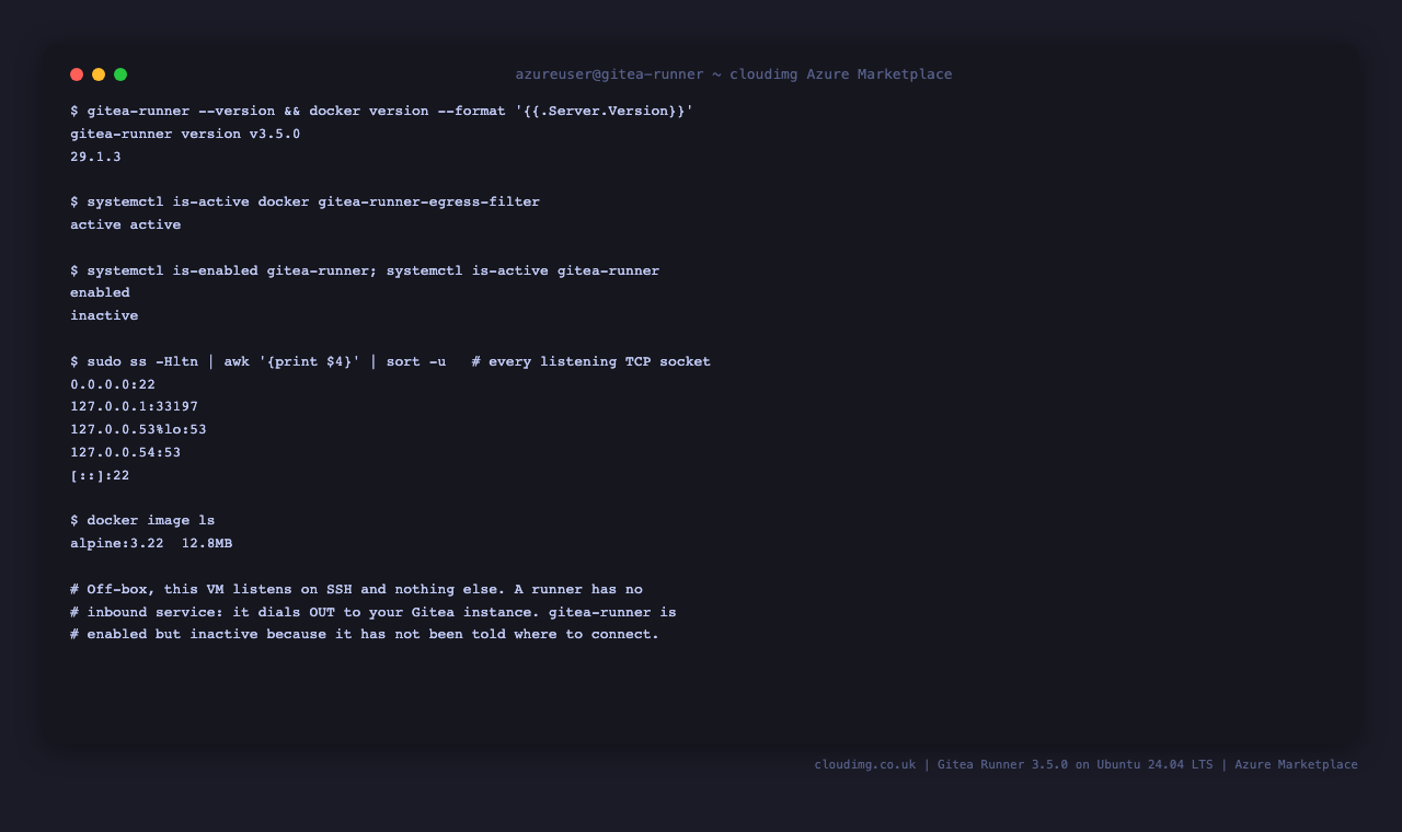 The Gitea Runner stack, its pinned versions, and every listening socket on the VM