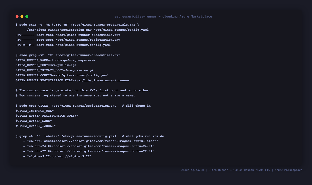 The per-VM runner identity and the single file you fill in to connect it