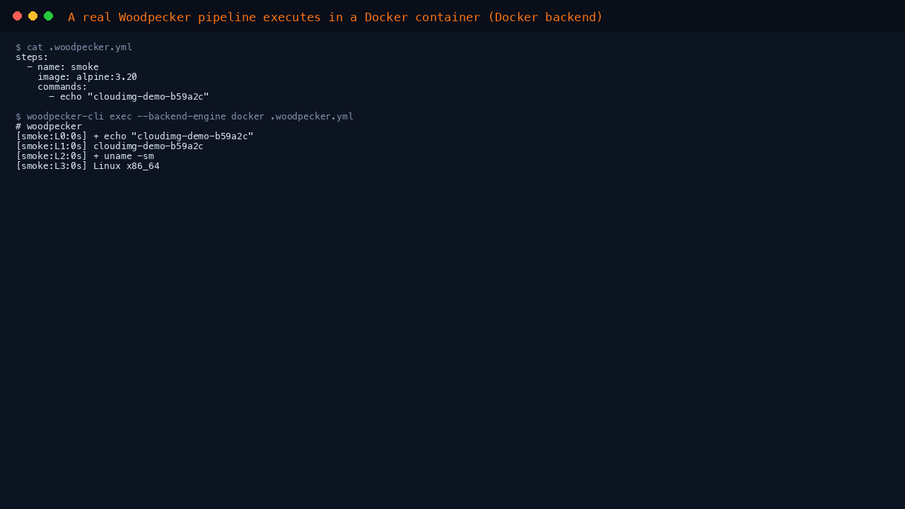 A real Woodpecker pipeline executing in a Docker container