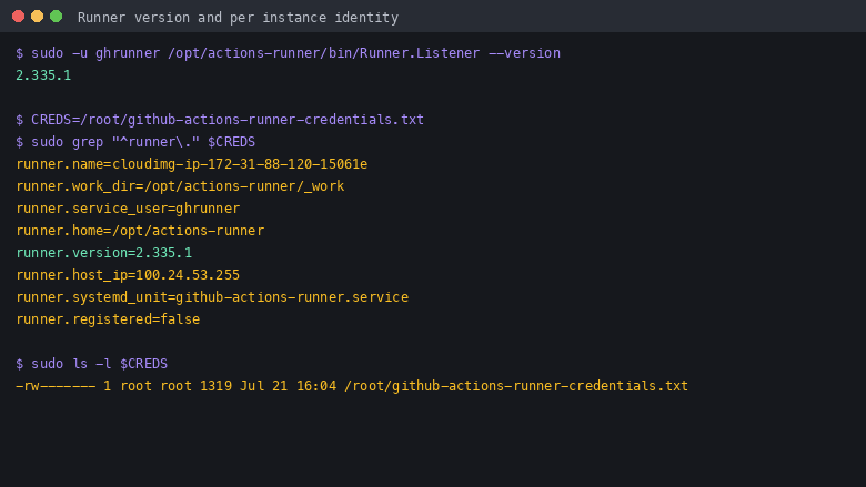 Runner version and per instance identity