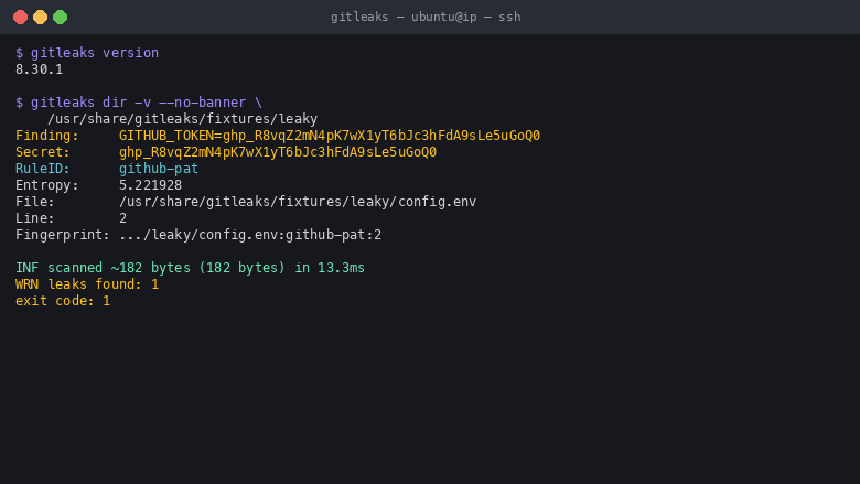 Gitleaks version and a directory scan detecting a hardcoded token