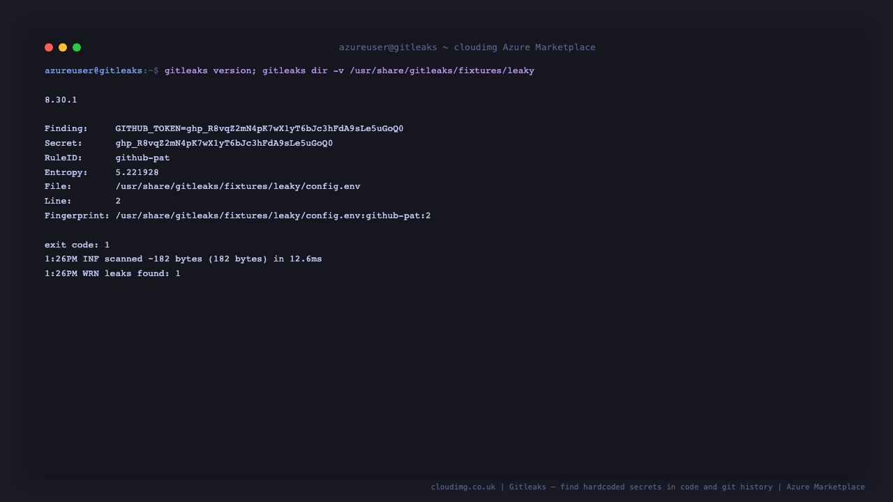 Gitleaks version and a directory scan detecting a hardcoded token