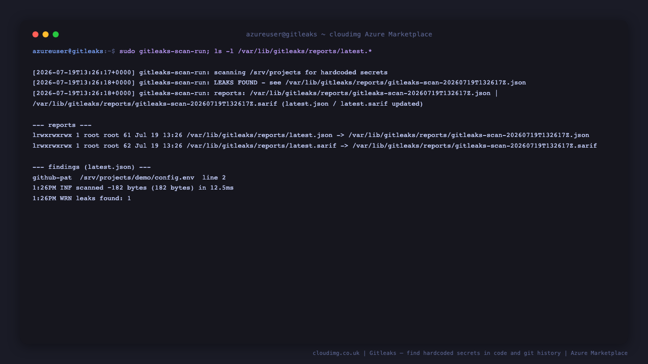 Scheduled scan writing JSON and SARIF reports
