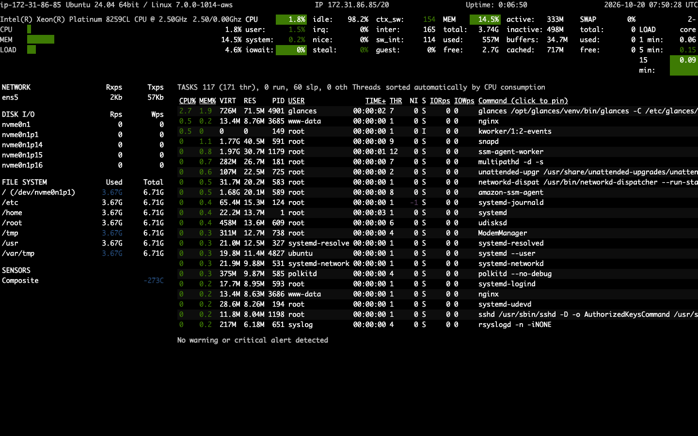 The Glances dashboard with CPU, memory and load at the top, network, disk I/O and file systems on the left and the process list on the right