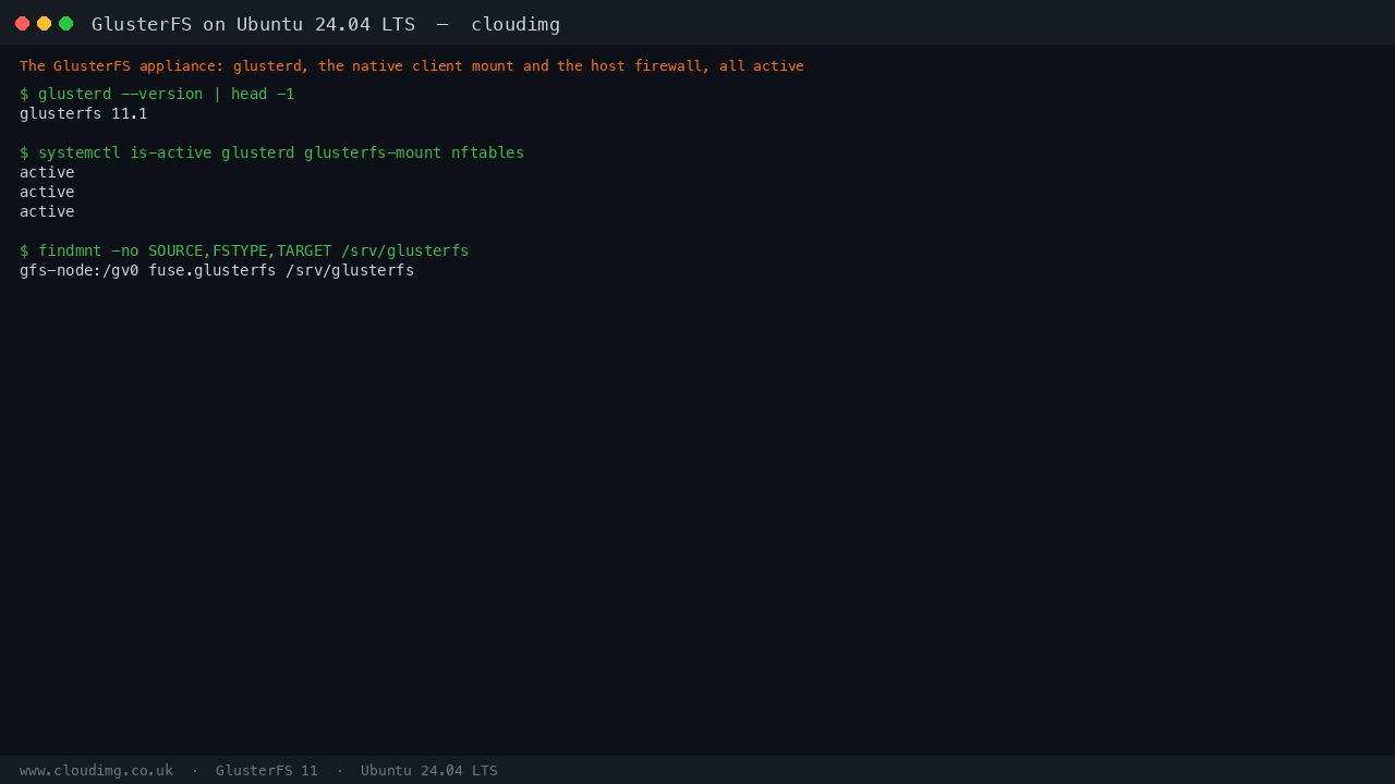 GlusterFS service status and native mount