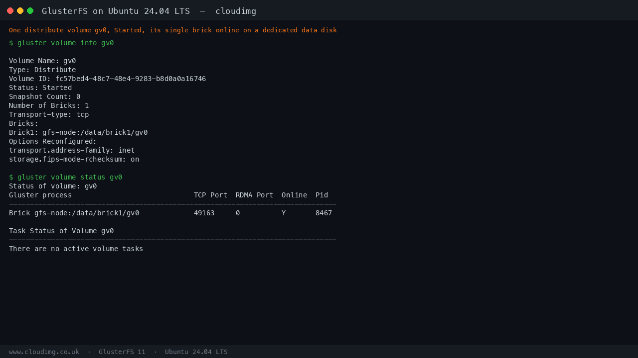 GlusterFS volume info and status