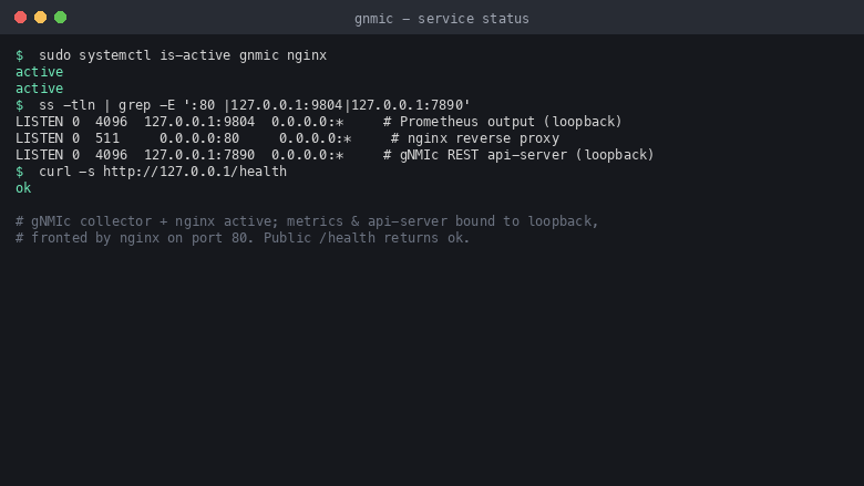 Terminal showing the gnmic and nginx services active, the Prometheus output bound to loopback 9804 and the api-server to loopback 7890 with nginx fronting port 80, and the public health endpoint returning ok