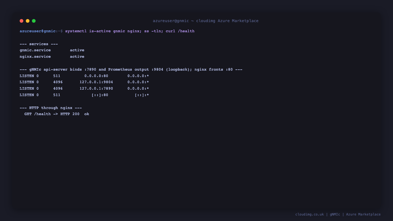 Terminal showing the gnmic and nginx services active, the Prometheus output bound to loopback 9804 and the api-server to loopback 7890 with nginx fronting port 80, and the public health endpoint returning ok