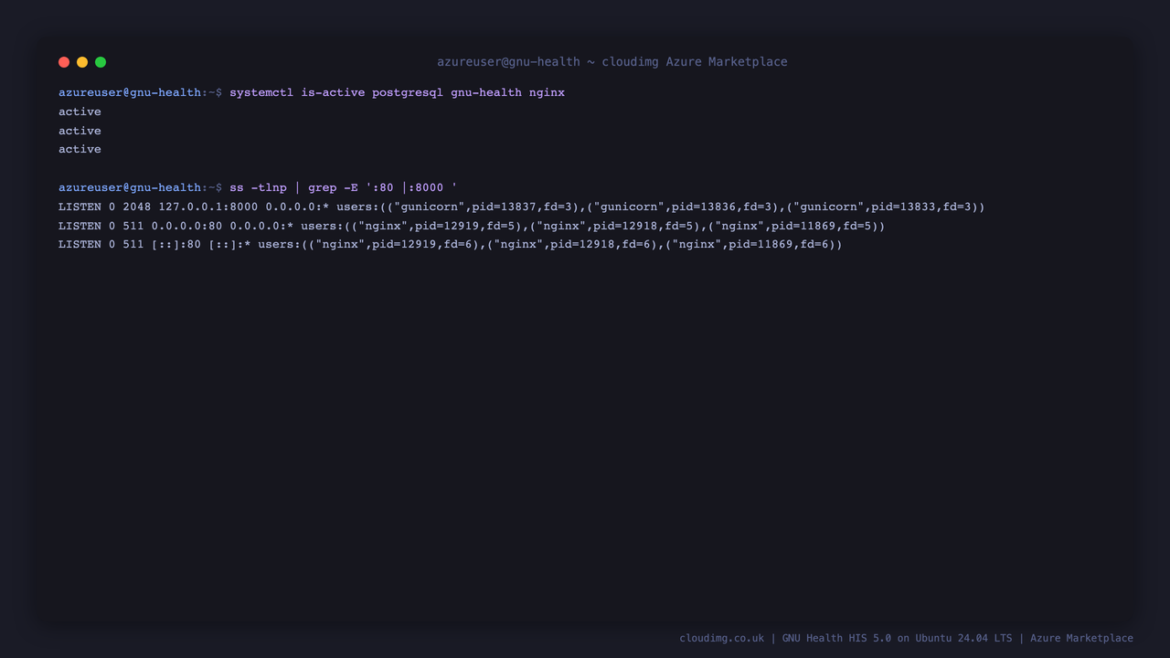 The postgresql, gnu-health gunicorn and nginx services reporting active, with trytond listening on loopback 127.0.0.1:8000 and nginx listening on port 80