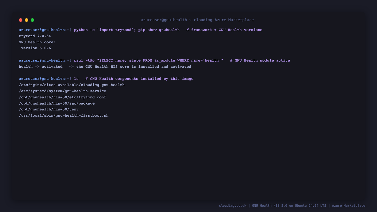 The trytond and GNU Health versions, the health module active in the database, and the GNU Health components installed by this image