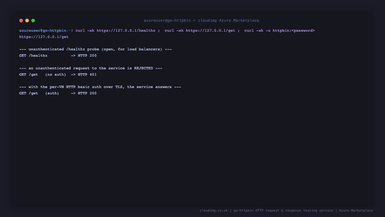 the service returns HTTP 200 for the unauthenticated healthz probe, HTTP 401 for an unauthenticated request to /get, and HTTP 200 when the per instance basic auth credentials are supplied over TLS