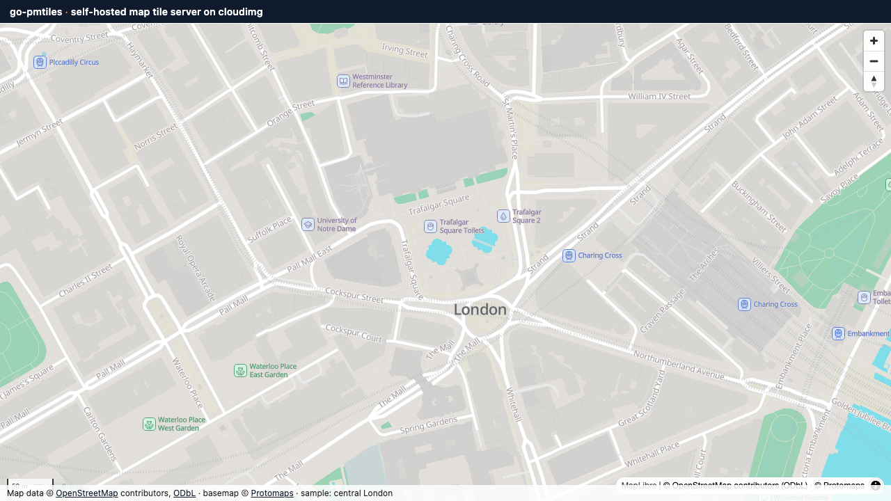 The web viewer zoomed to street level around Trafalgar Square