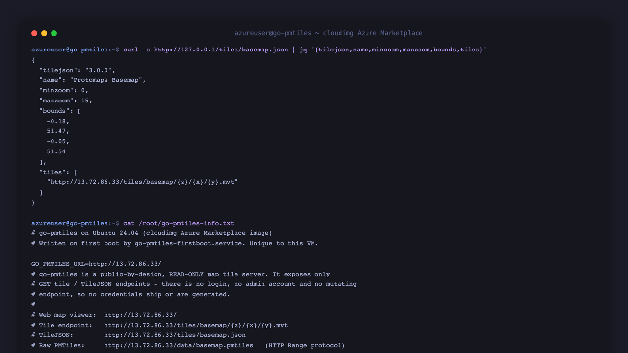 TileJSON served by go-pmtiles and the per VM instance info file