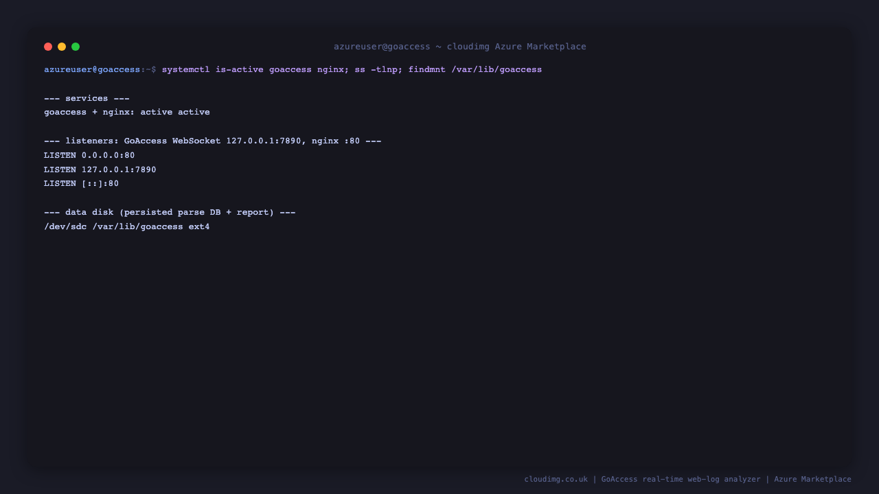 The goaccess and nginx services active, the GoAccess WebSocket server on loopback 127.0.0.1:7890, nginx on port 80, and the dedicated data disk mounted at /var/lib/goaccess
