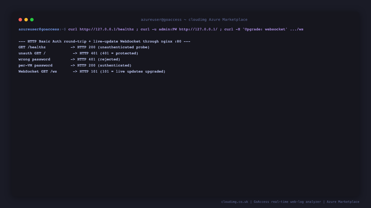 The HTTP Basic Auth round-trip returning 401 unauthenticated, 401 for a wrong password, 200 with the per-VM password, and the GoAccess live-update WebSocket upgrading with HTTP 101