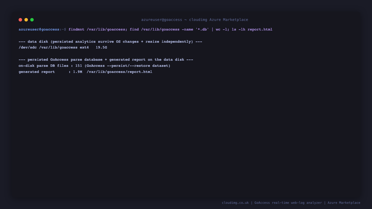 The GoAccess data disk mounted at /var/lib/goaccess showing the persisted parse database files and the generated report on the dedicated Azure volume